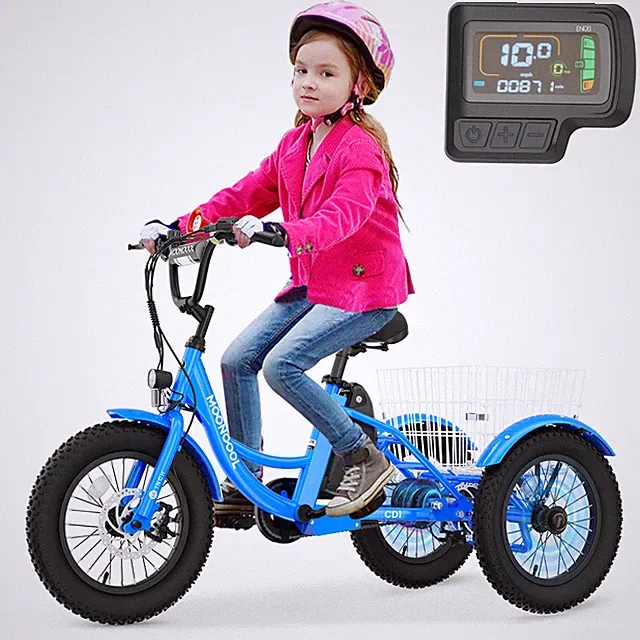 16" Electric Tricycle for Youth Kids 250W 24V Electric Trike Bike Christmas Gift
